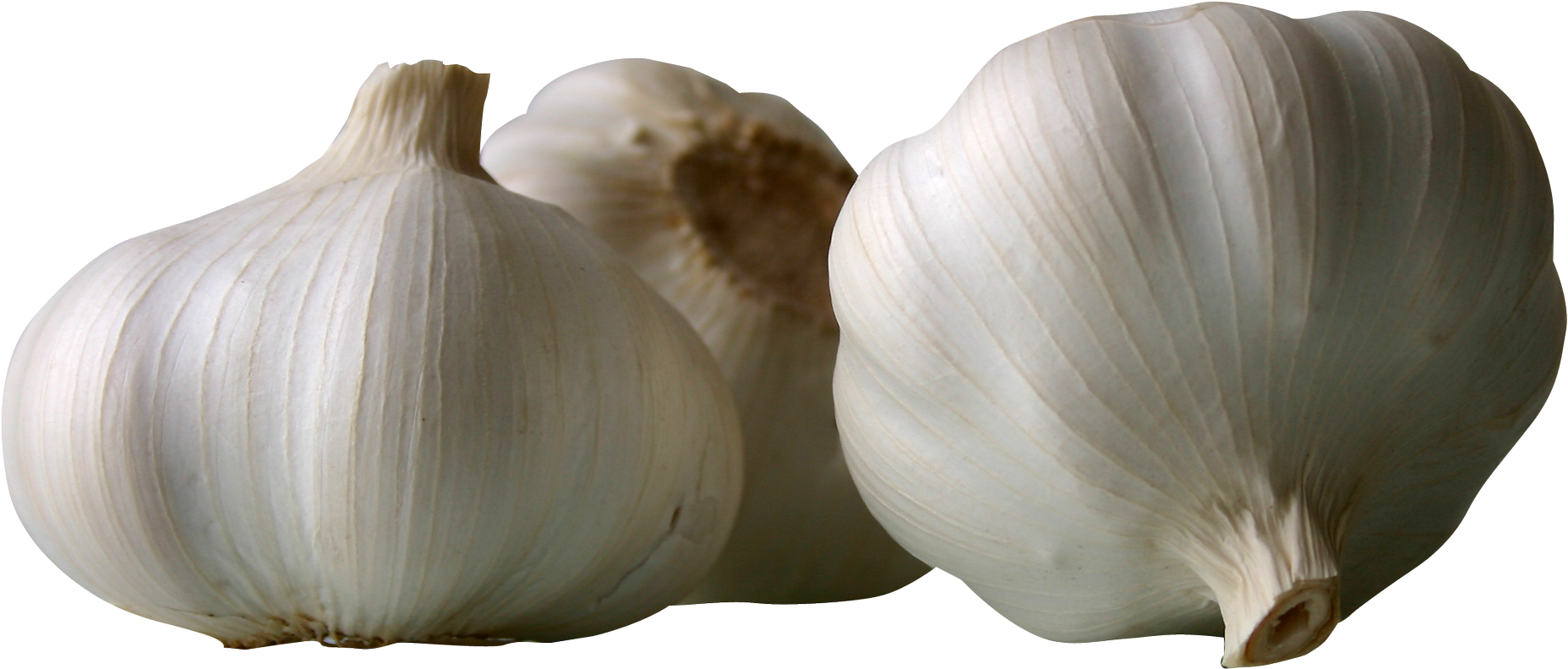 Garlics Png Image - 蒜 Png (1968x948), Png Download