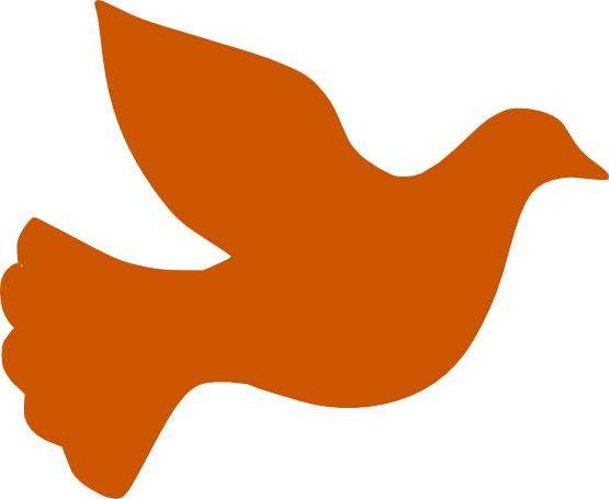 Water Dove Peace Burnt Orange Clipart - Dove Silhouette (555x455), Png Download