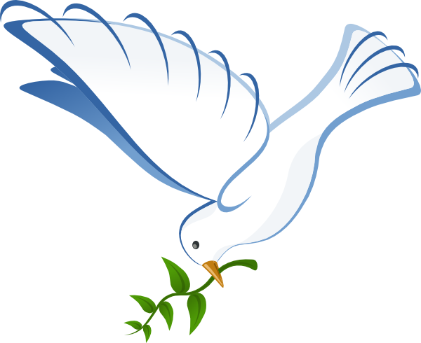 Dove Clip Art Png - White Dove (600x490), Png Download