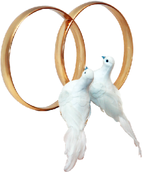 Freeuse Turtle Clipart Bird Free On Dumielauxepices - Wedding Dove Png Transparent Background (400x400), Png Download