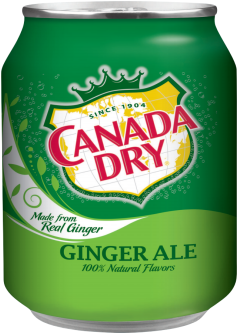 Canada Dry Ginger Ale - Canada Dry (250x500), Png Download