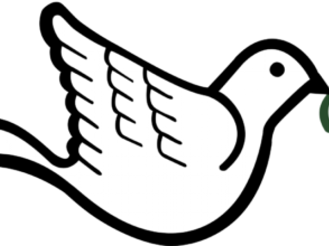 Free Dove Clipart - Dove With Olive Branch (640x480), Png Download