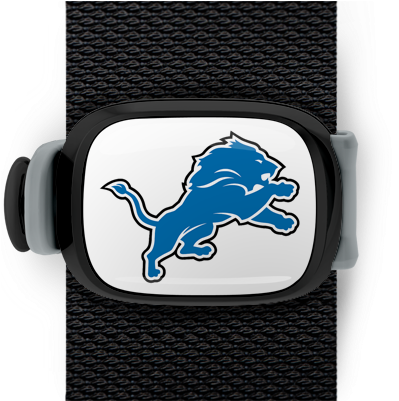 Detroit Lions Stwrap - Detroit Lions 3" X 4" Decal (550x400), Png Download