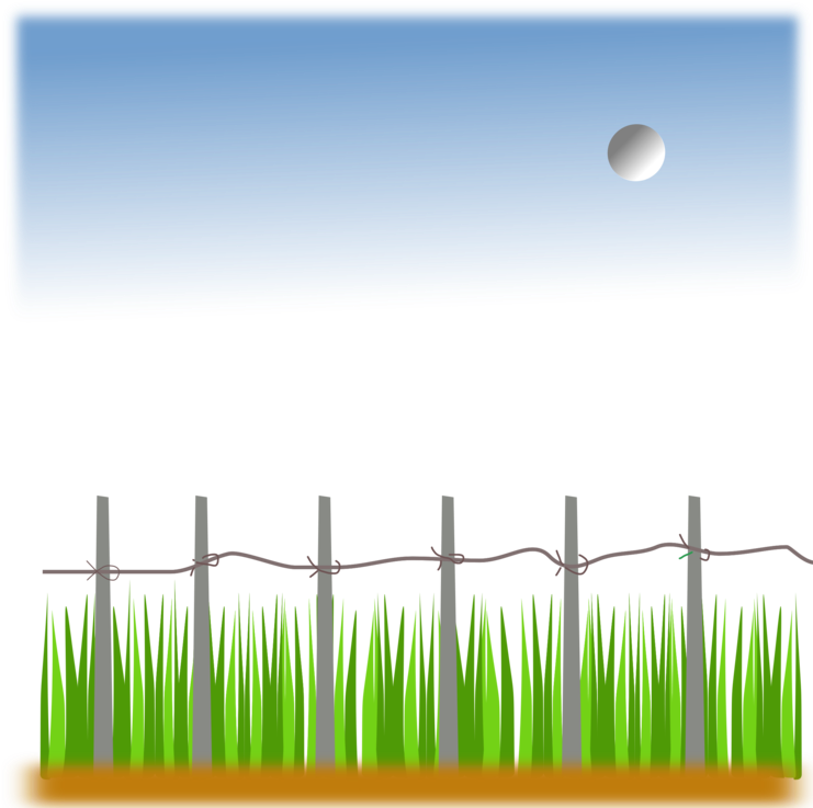Agriculture Agricultural Land Farm Computer Icons Field - Rice Farm Clipart (750x750), Png Download