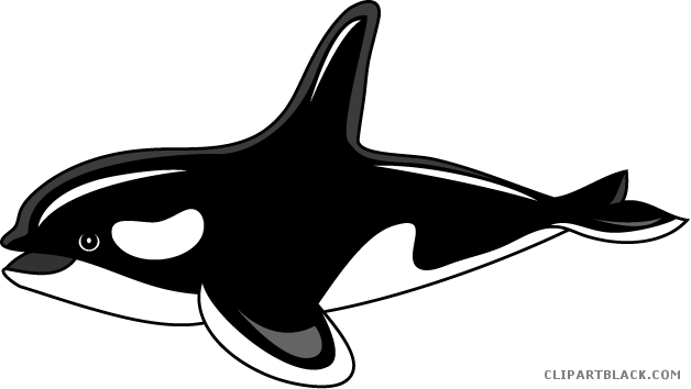 Transparent Library Clipartblack Com Animal Free Black - Killer Whale Clipart Png (628x354), Png Download