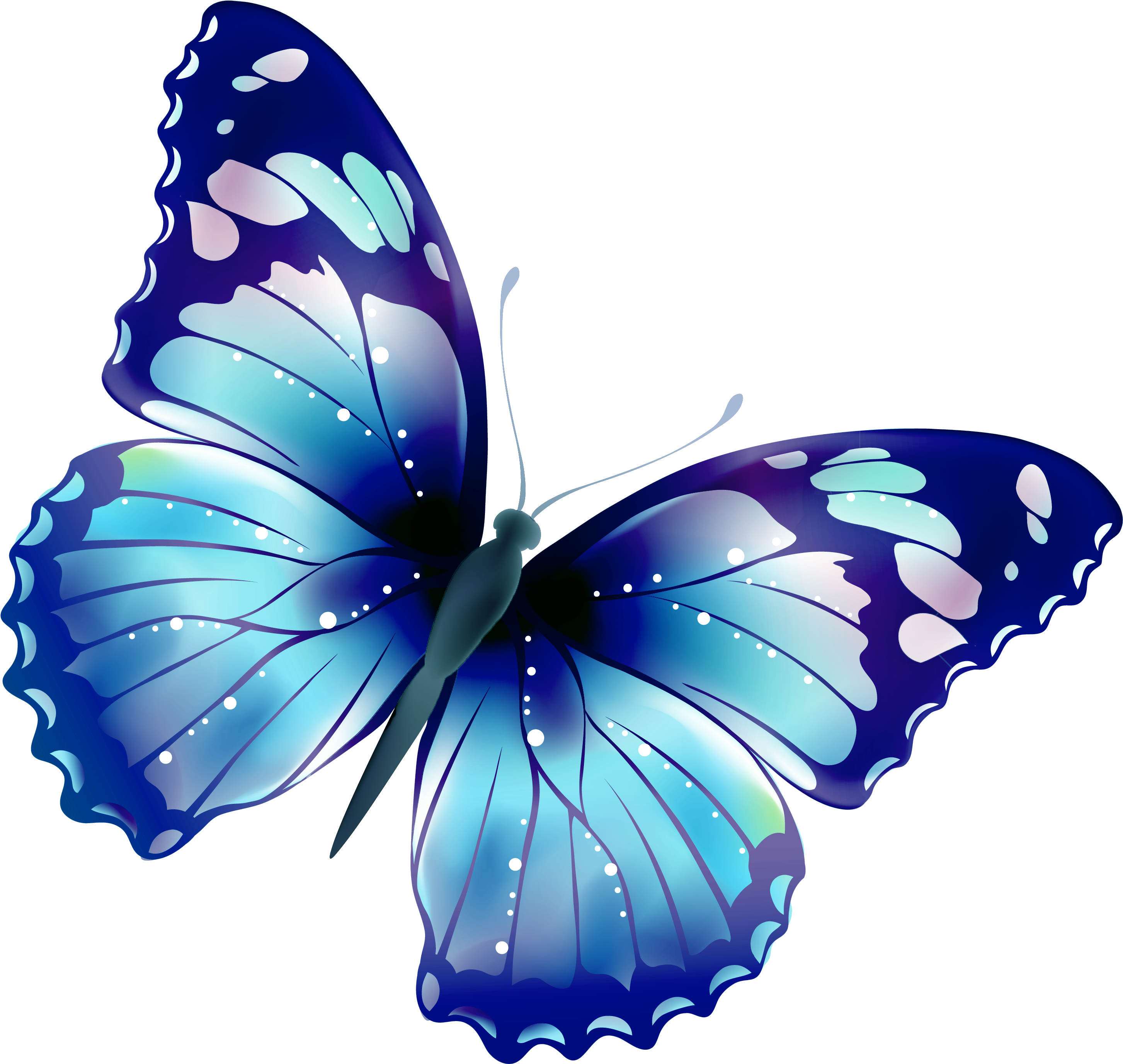 Large Transparent Butterfly Png Clipart By Zwyklaania - Butterfly Clipart (800x760), Png Download