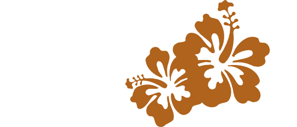 Black Swirl, Bright Hibiscus Svg Clip Arts 600 X 256 (600x256), Png Download