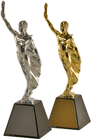 Oscar Award Png Award Trophy Png Of The Marcom Awards - Awards Cover Page Design (319x460), Png Download
