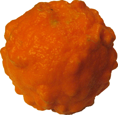 Food/ Fruit/ Orange Seville - Bitter Orange Png (400x391), Png Download