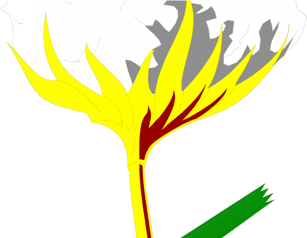 Cotton Clipart Tobacco - Illustration (640x480), Png Download