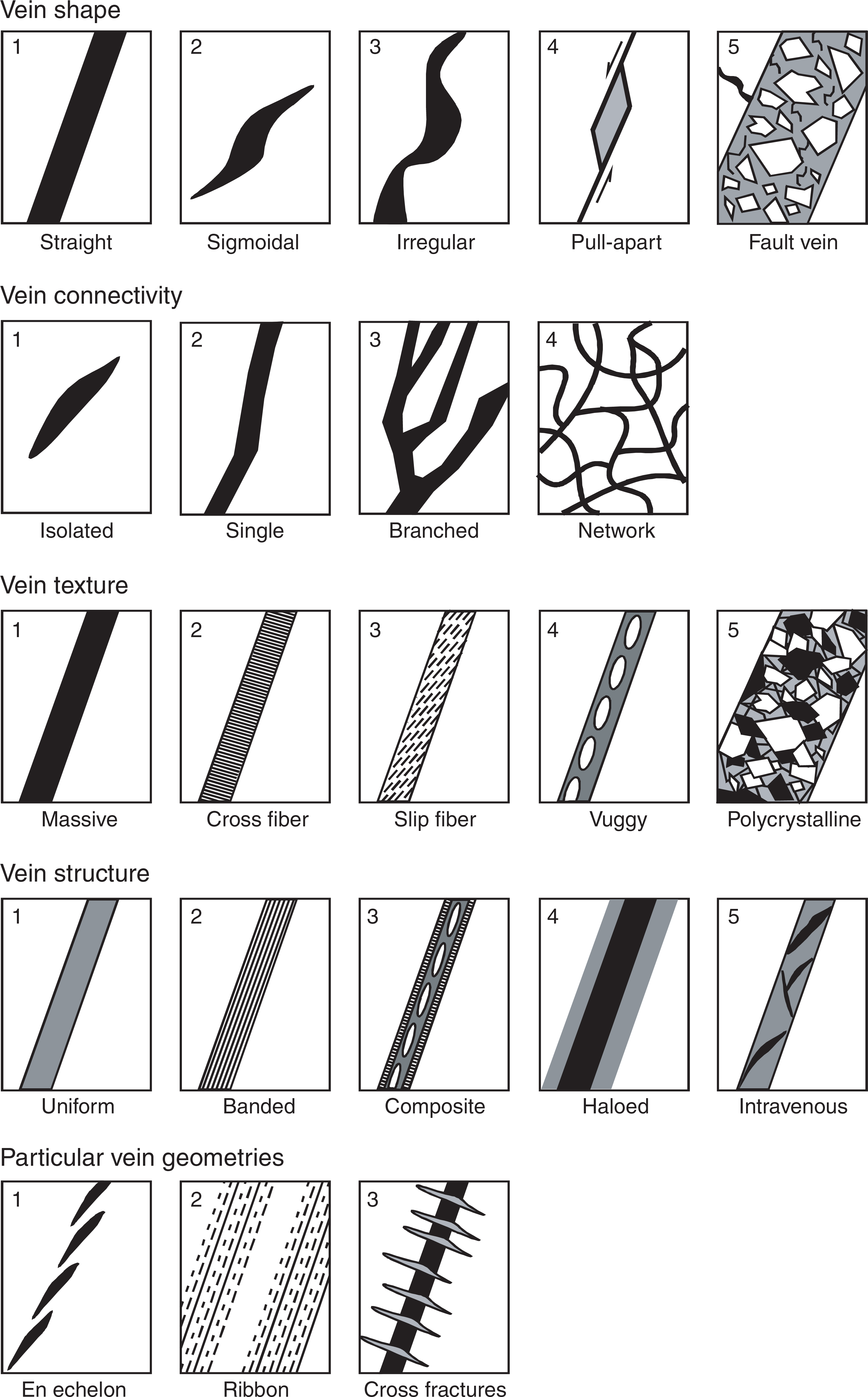 We Identified - Monochrome (3084x4987), Png Download