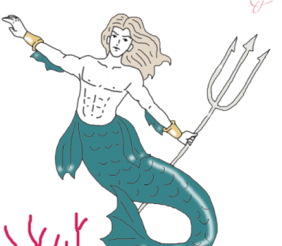 Shell Clipart Triton - Cartoon (640x480), Png Download