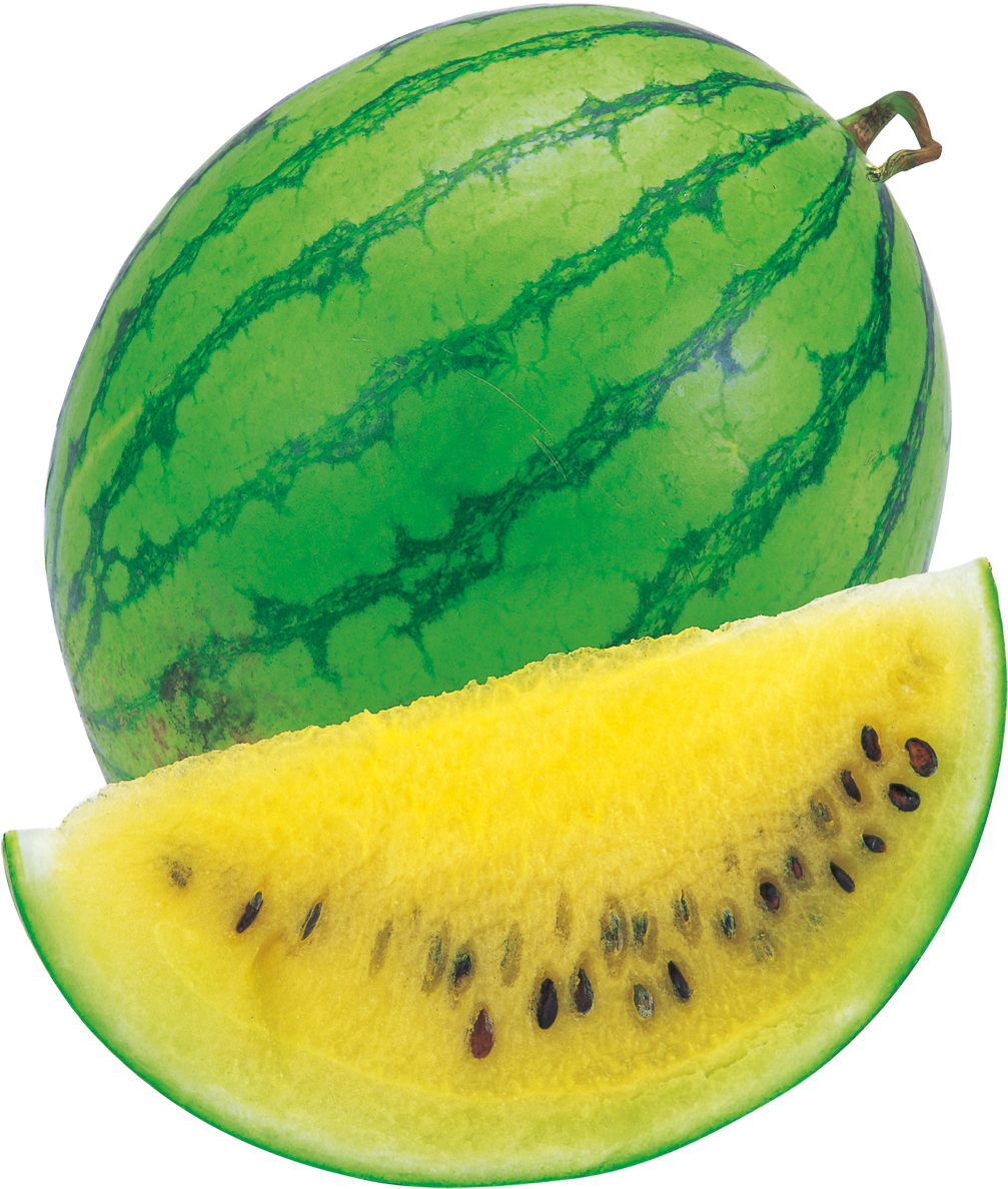 1509 X 1413 8 - Watermelon Yellow (1509x1413), Png Download