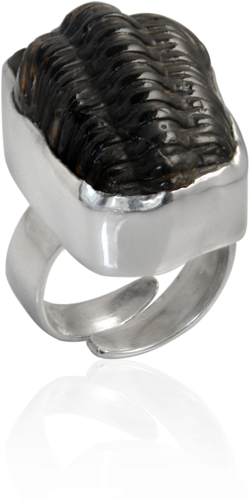 Pre-engagement Ring (1126x1126), Png Download