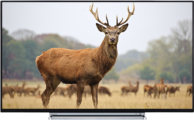 43" Toshiba Ultra Hd Tv Front - Toshiba 43v6763da (640x640), Png Download