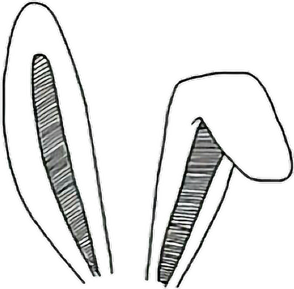 Overlays Tumblr Transparent - Bunny Ears Overlays Png (1024x1005), Png Download