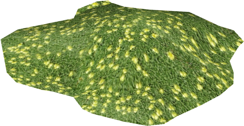 Azorella - Azorella Compacta (844x844), Png Download