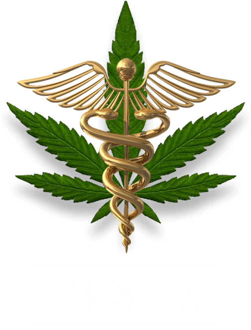 Products - Marijuana (511x661), Png Download