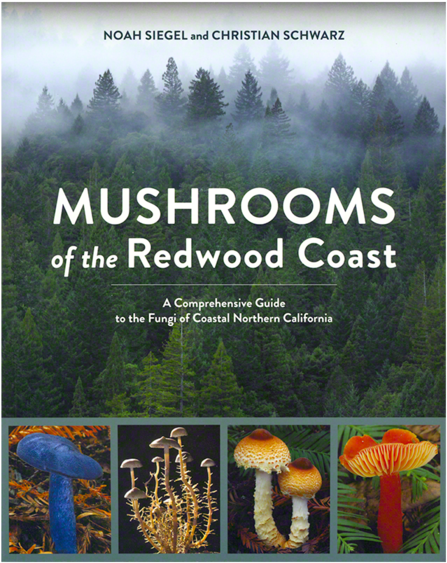 Mushrooms Of The Redwood Coast (700x700), Png Download