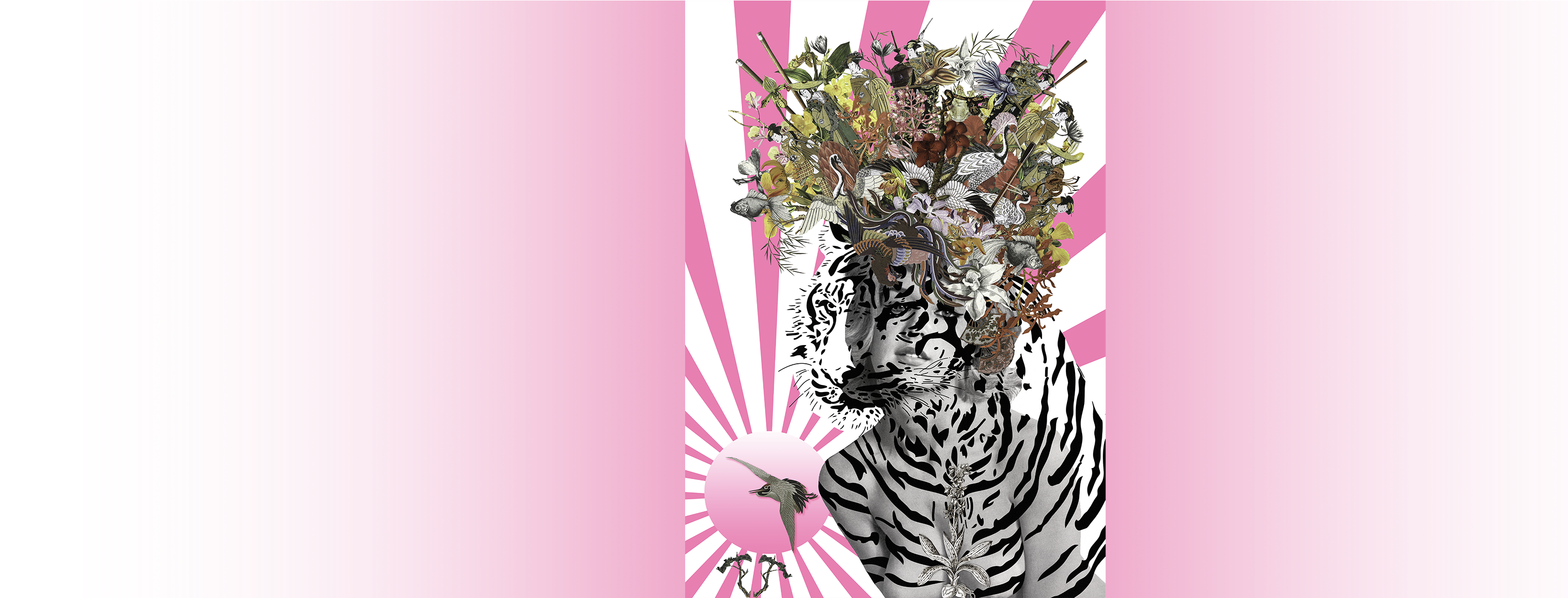 Janna Png (3661x1299), Png Download