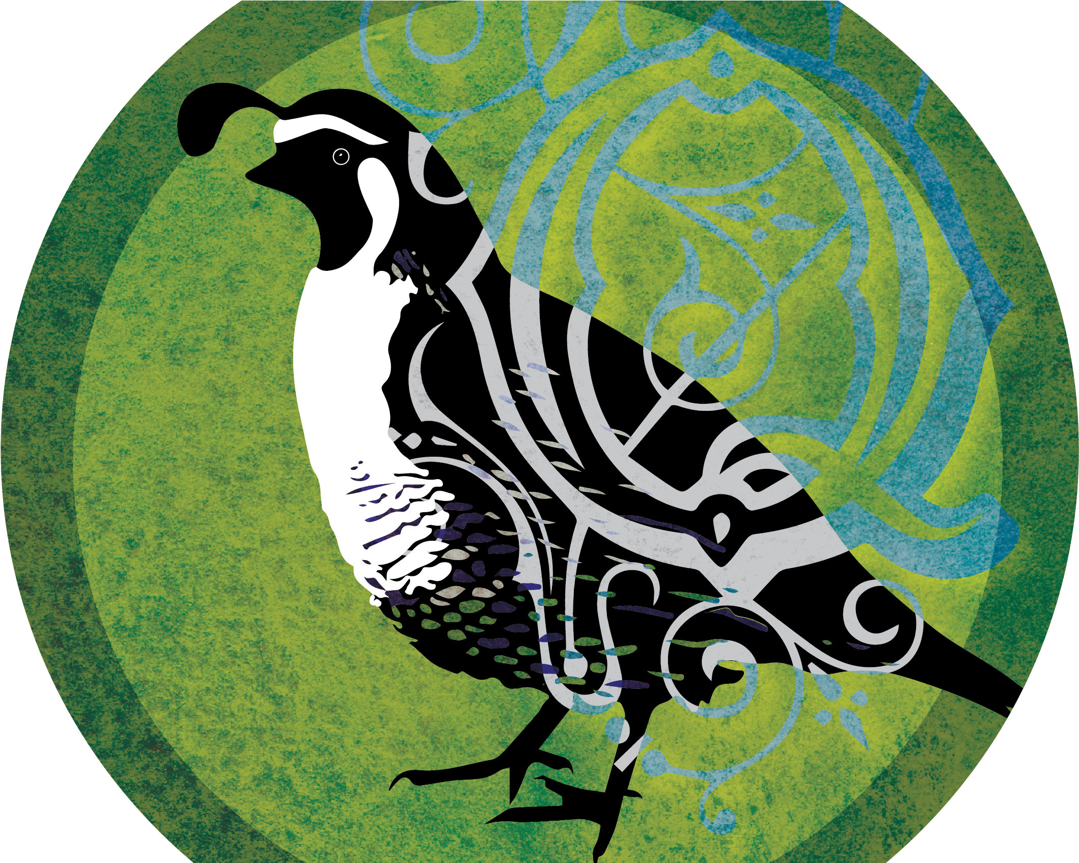 Quail 01 - - Turkey (2259x1694), Png Download