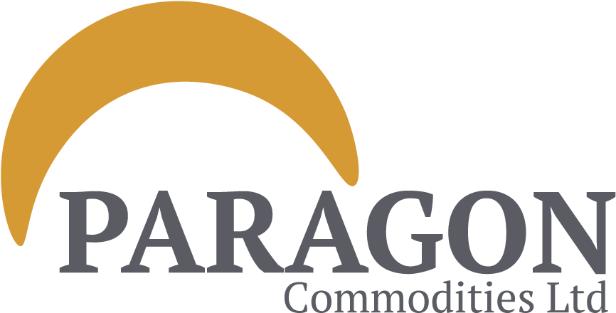 Paragon Commodities Ltd - Graphic Design (868x455), Png Download