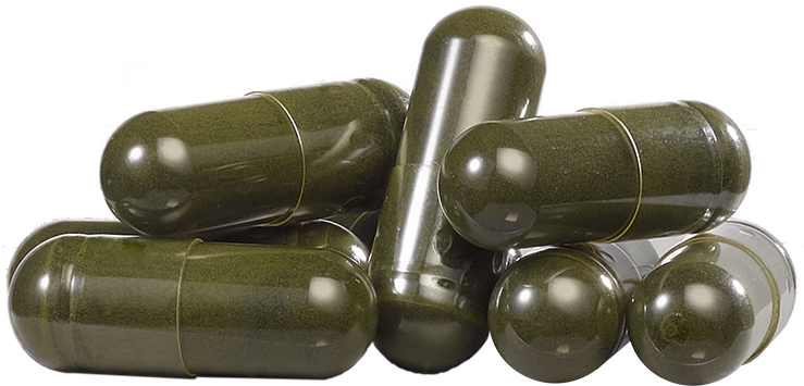 Our - Ammunition (900x900), Png Download