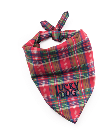 Lucky Dog Plaid Bandana - Pañoletas Para Perros Png (570x570), Png Download