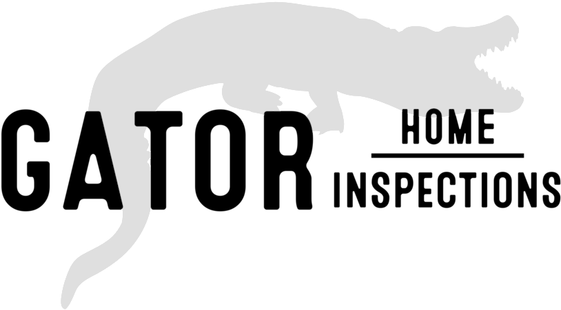 Uf Gator Png (1000x1167), Png Download