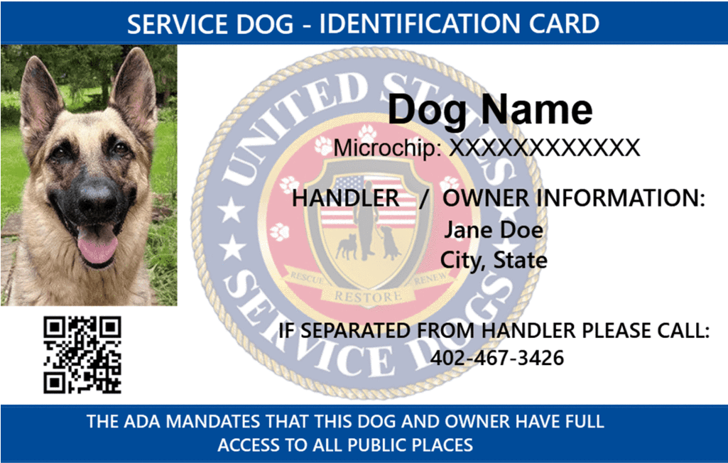 Beagle Id Service Dog (1024x1024), Png Download