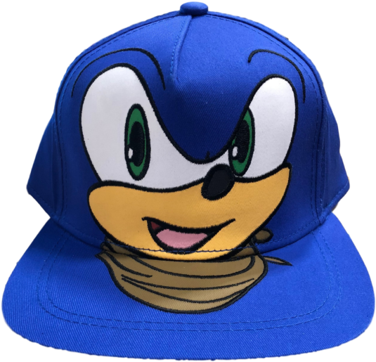 New Sonic Boom The Hedgehog Full Face Flat Brim Snapback - Baseball Cap (640x640), Png Download