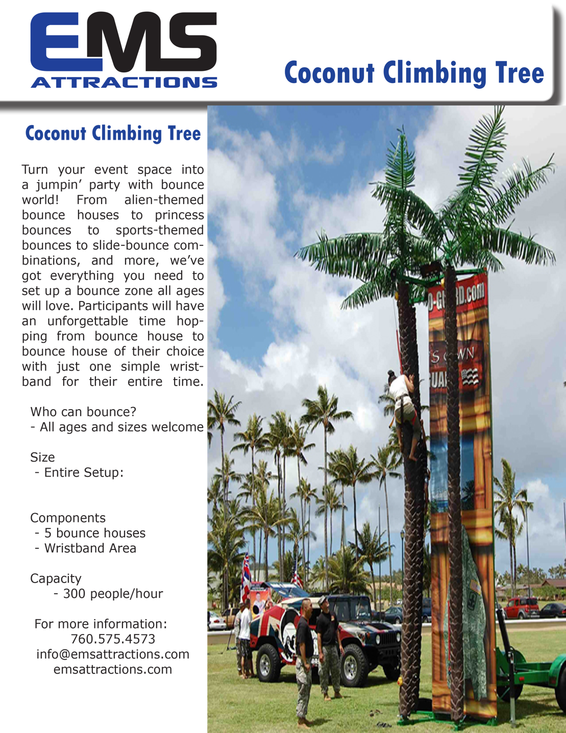 Photo Gallery - Roystonea (1109x1437), Png Download