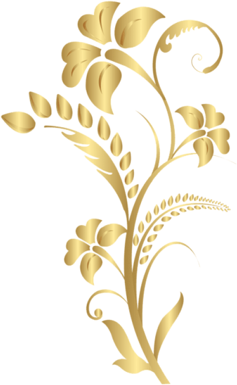 Free Png Download Floral Element Gold Clipart Png Photo - Floral Element Png (480x764), Png Download
