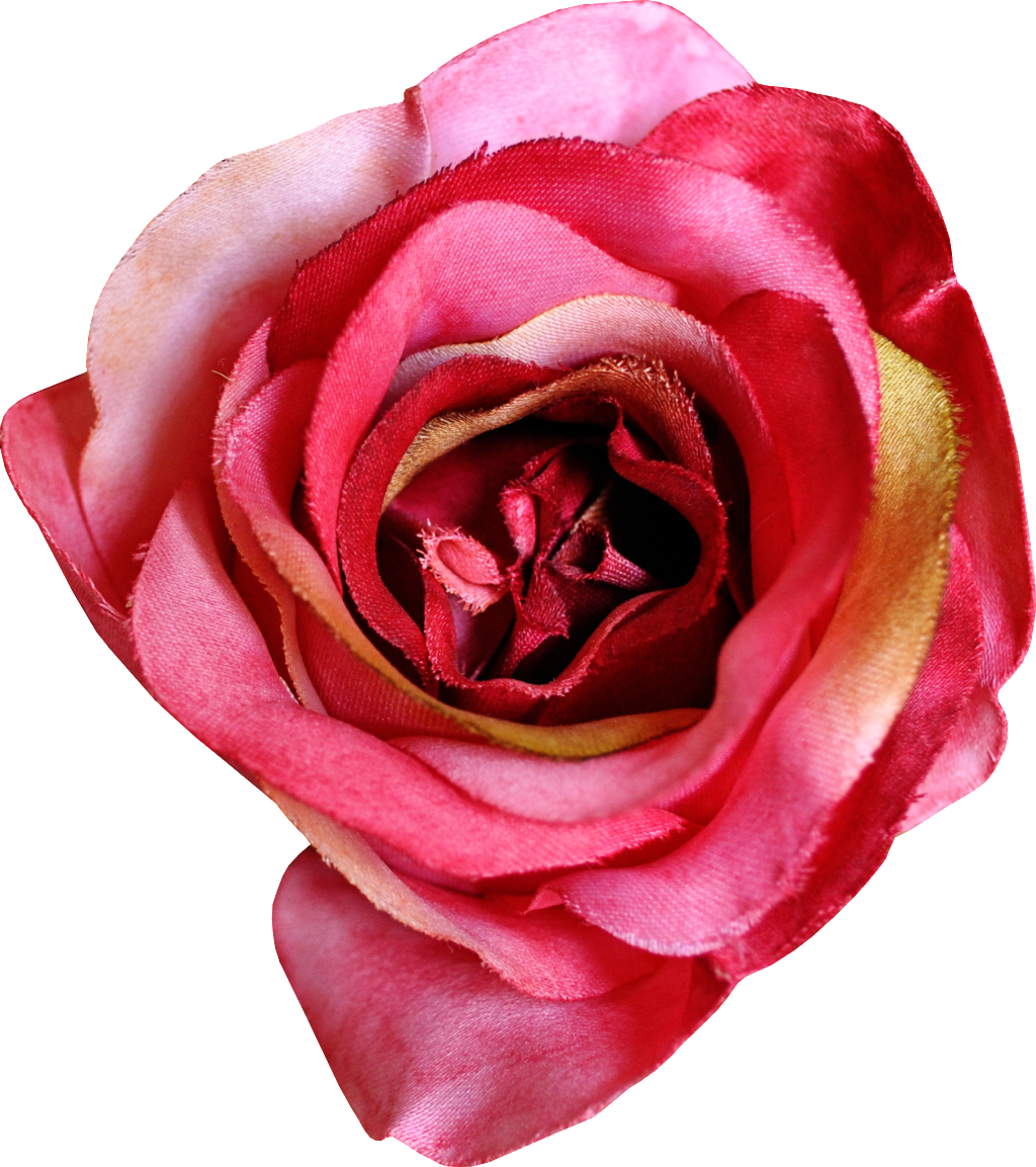 Hand Painted Gorgeous Flower Png Transparent - Garden Roses (1024x1153), Png Download