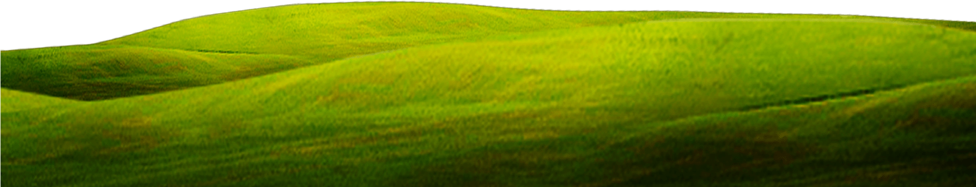 Green Close Up Wallpaper Grass Background 1920*800 - Grass (1920x800), Png Download