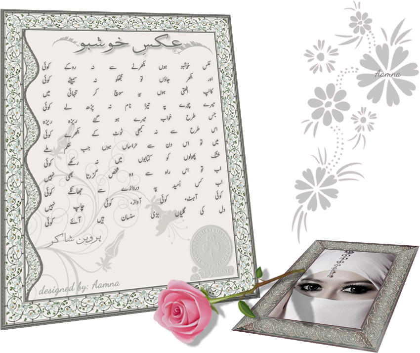 Aks E Khushboo - Akse Khushboo Hoon Lyrics (867x716), Png Download