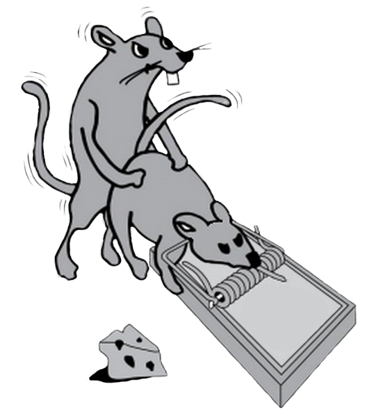 Image - Rat Fucker (800x600), Png Download