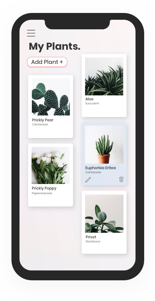 My Plants (500x1000), Png Download