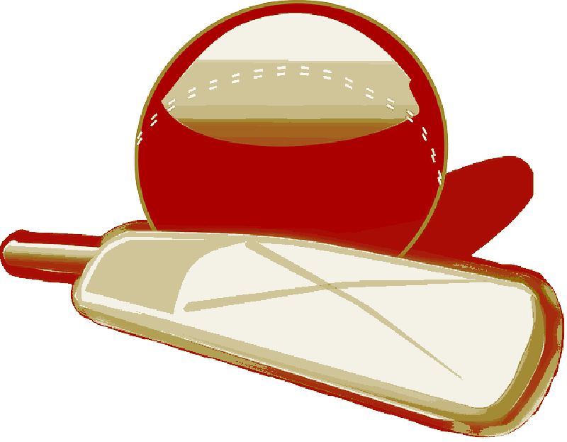 Free Icons Png - Cricket (800x623), Png Download