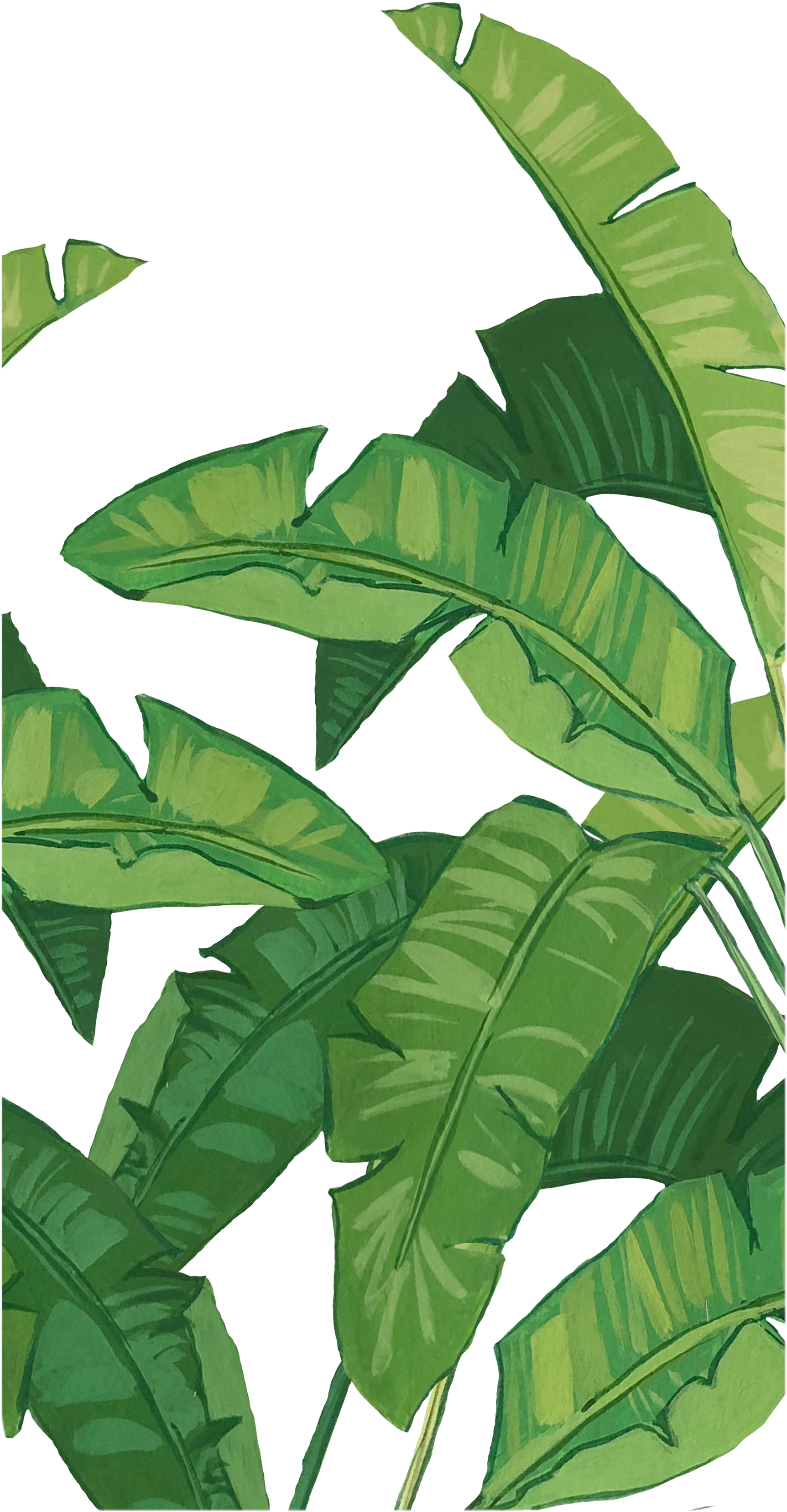 #casetify #iphone #art #design #nature #bananaleaves - Illustration (2000x3971), Png Download