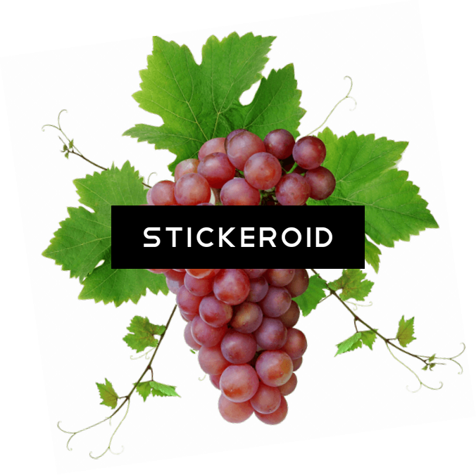 Red Grape Png With - Red Grapes (676x675), Png Download