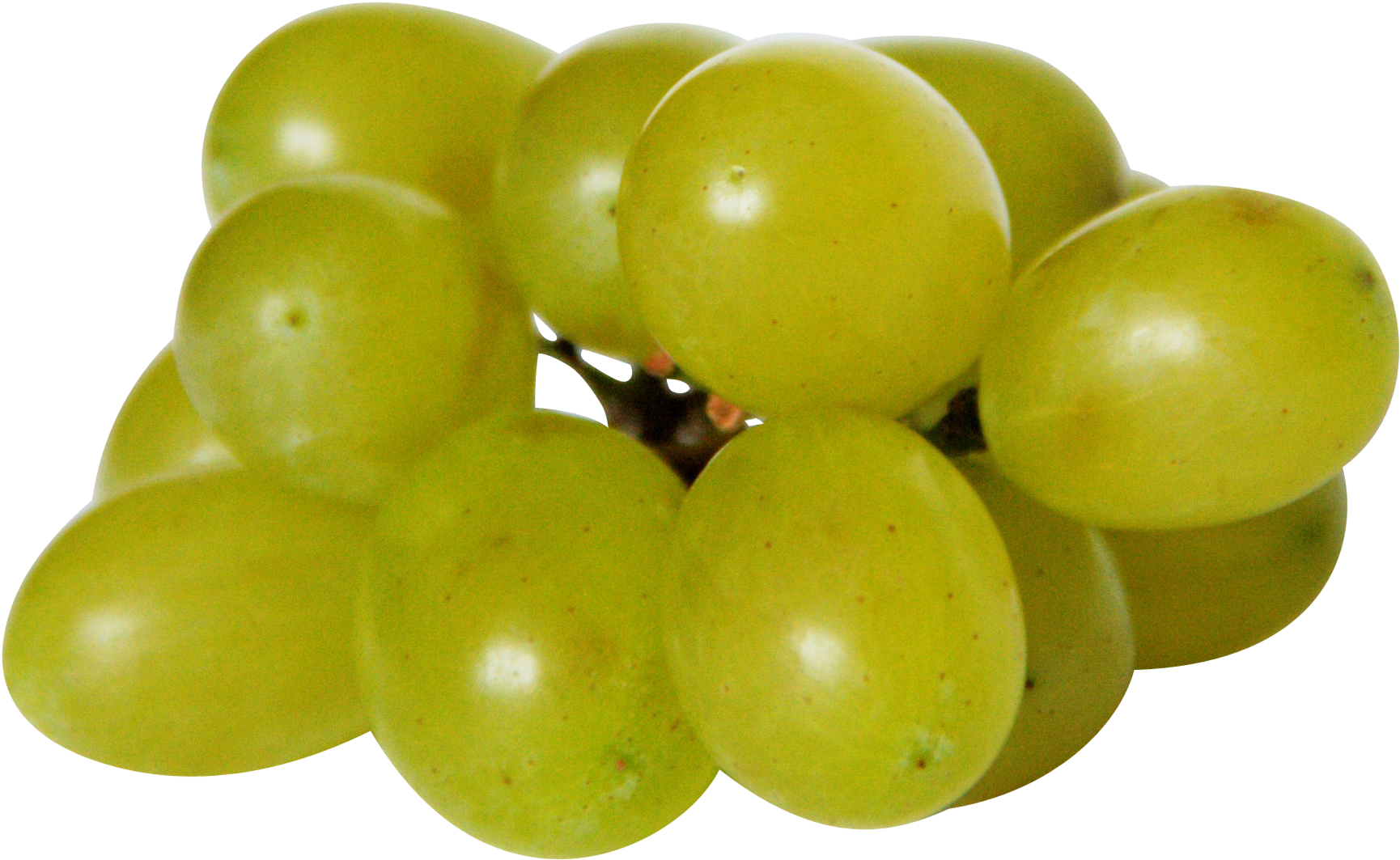 Weintrauben Für Hunde Giftig (2336x3504), Png Download