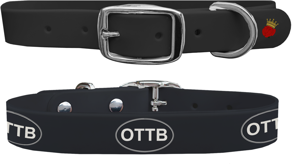 Ottb Black Dog Collar - Buckle (1024x1024), Png Download