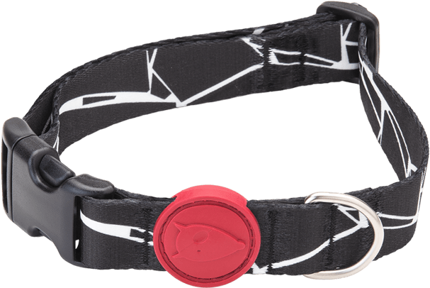 Dog Collar - Belt (720x481), Png Download