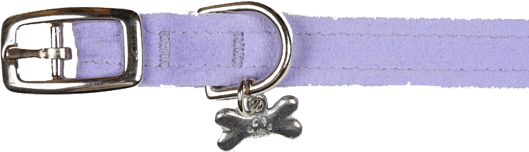 Boney Lavender Collar - Belt (800x400), Png Download
