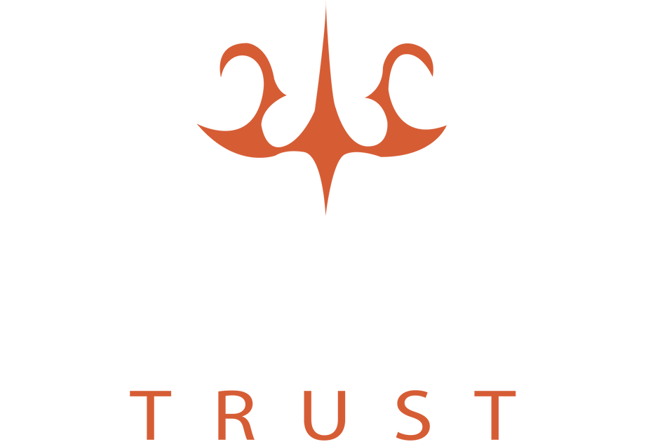 Picture - Graphic Design (1100x778), Png Download