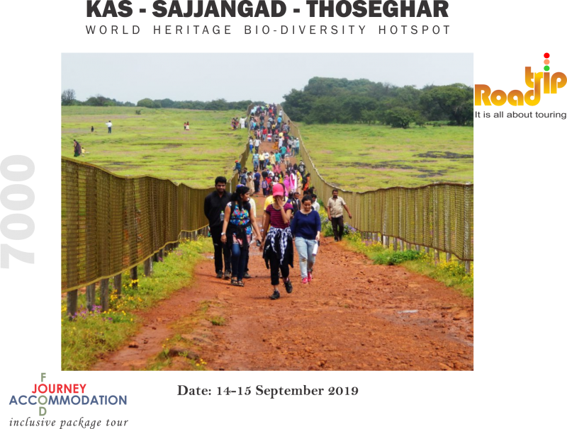 Kas Plateau Sajjangad Thoseghar Chalkewadi - Nordic Walking (800x606), Png Download