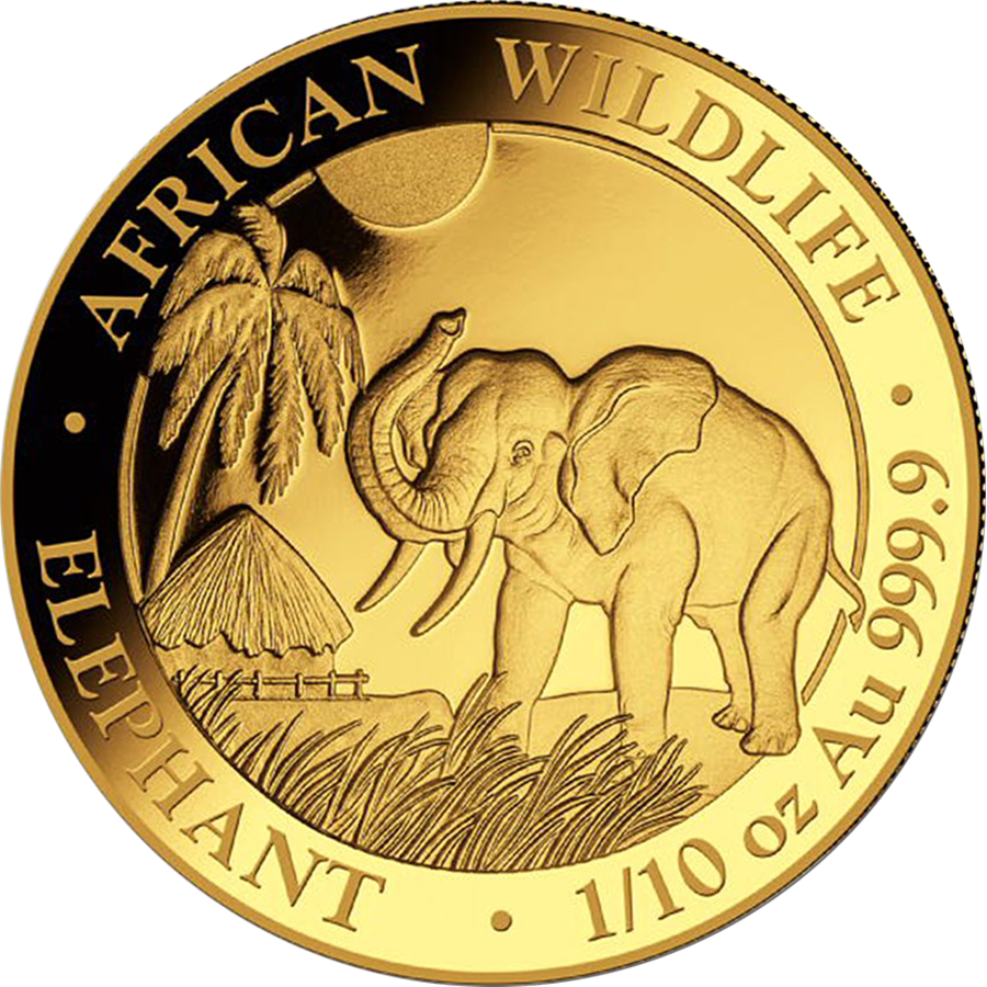 2017 Somalian Elephant 1/10oz Gold Coin - Somalia Elefant 1 2 (900x900), Png Download