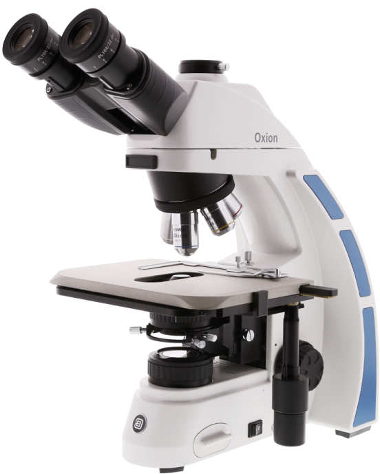 3035 With Ceramic Stage - Euromex Oxion Microscope (563x750), Png Download
