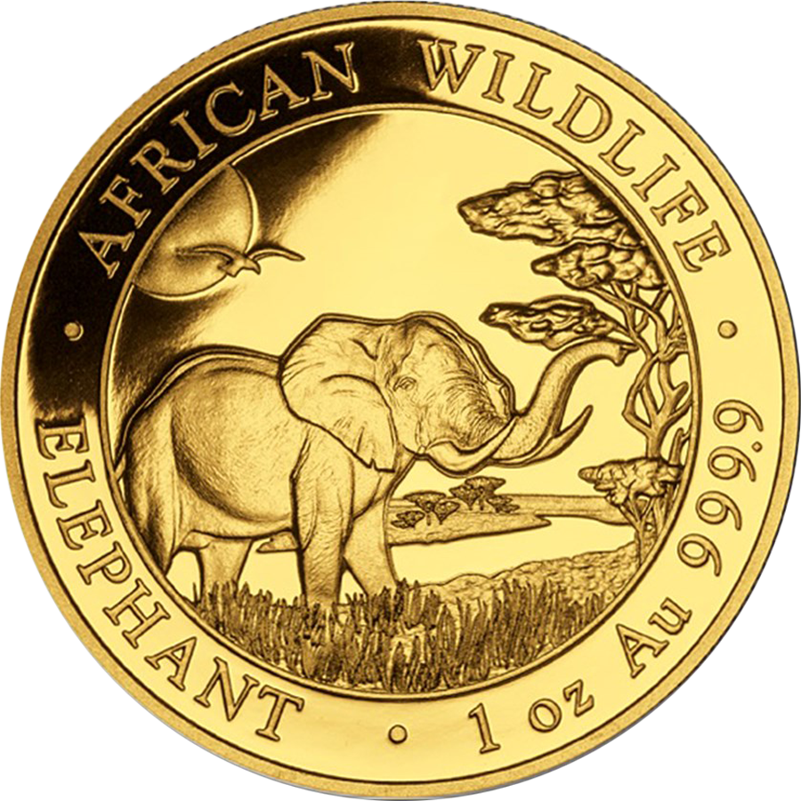 2019 Somalian Elephant 1oz Gold Coin - Elephant Coin (900x900), Png Download